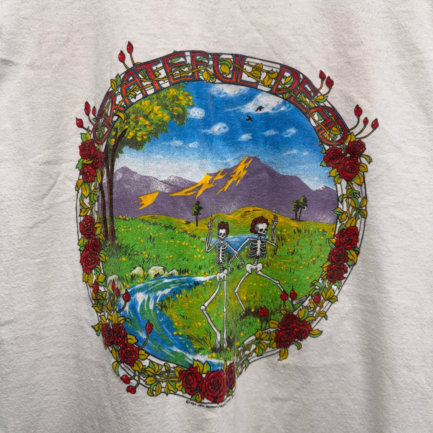 Vintage Grateful Dead 1984 Spring Tour Tank Top Shirt Medium