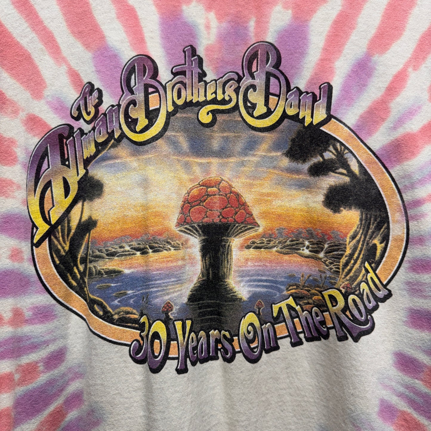 Vintage Allman Brothers Band 1999 Tour Tie Dye Shirt XXL