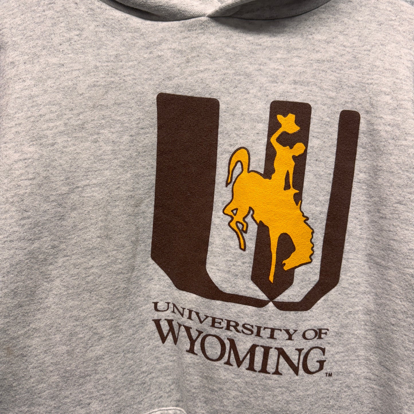 Vintage Wyoming Cowboys Hoodie Sweatshirt Large