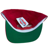 Vintage Buffalo Bills Hat