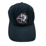 Vintage Buffalo Sabres Nike Hat