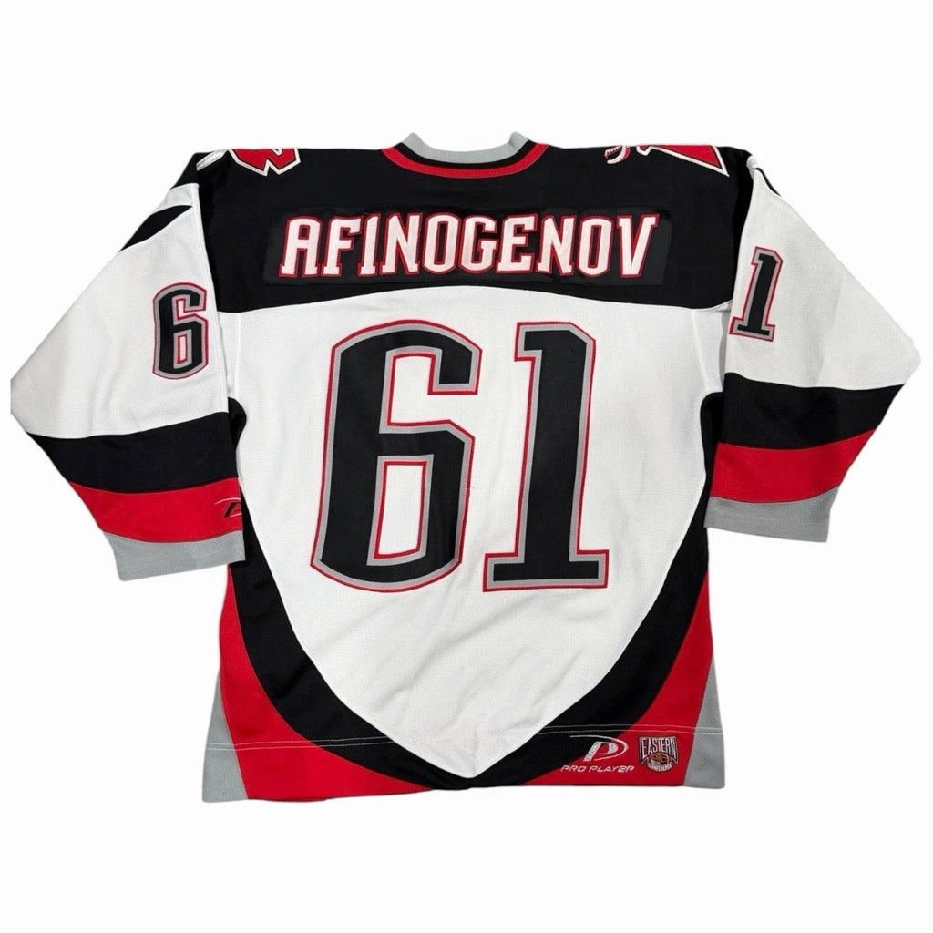 Vintage Buffalo Sabres Afinogenov Signed Jersey Large