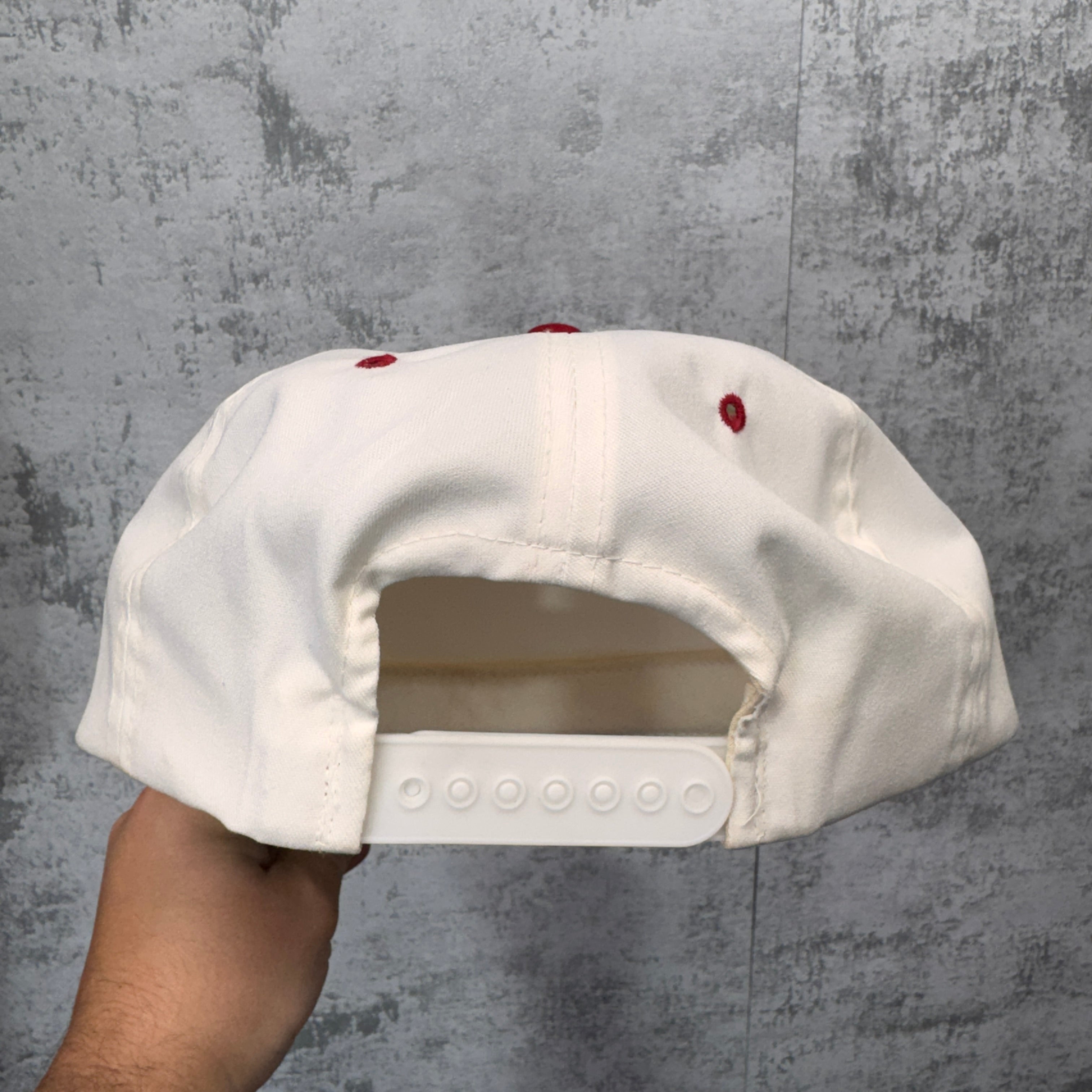 Vintage Buffalo Bills 1993 AFC East Snapback Hat