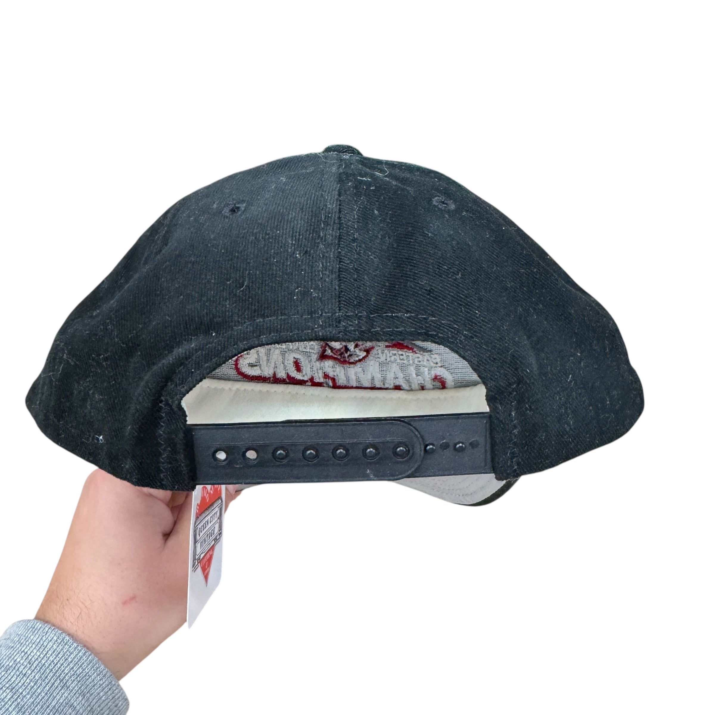 Vintage Buffalo Sabres 1999 Eastern Conference Champions Snapback Hat