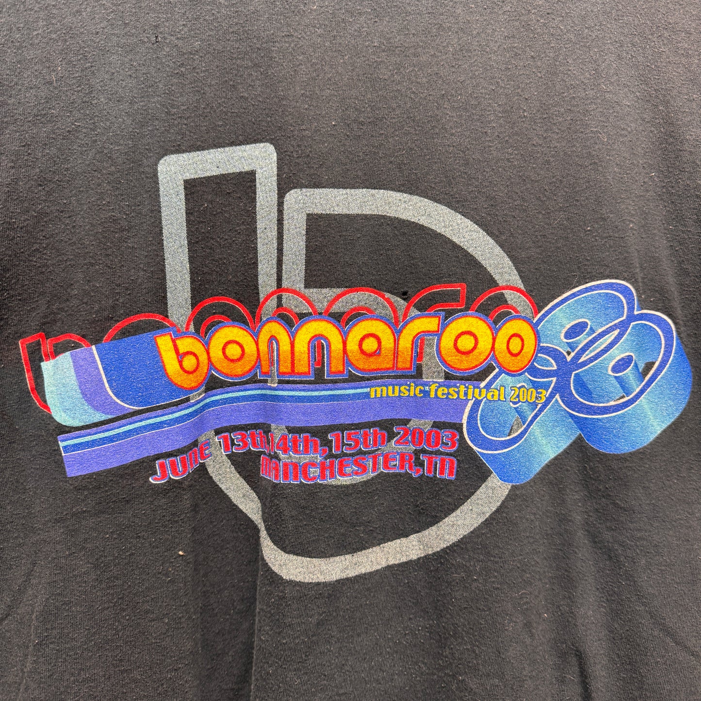 Vintage 2003 Bonnaroo Festival Shirt Large