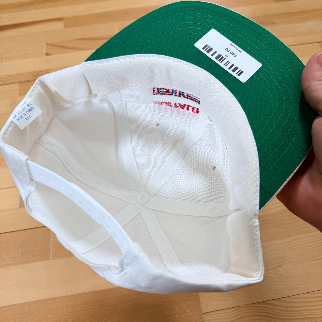 Vintage Buffalo Bisons Hat