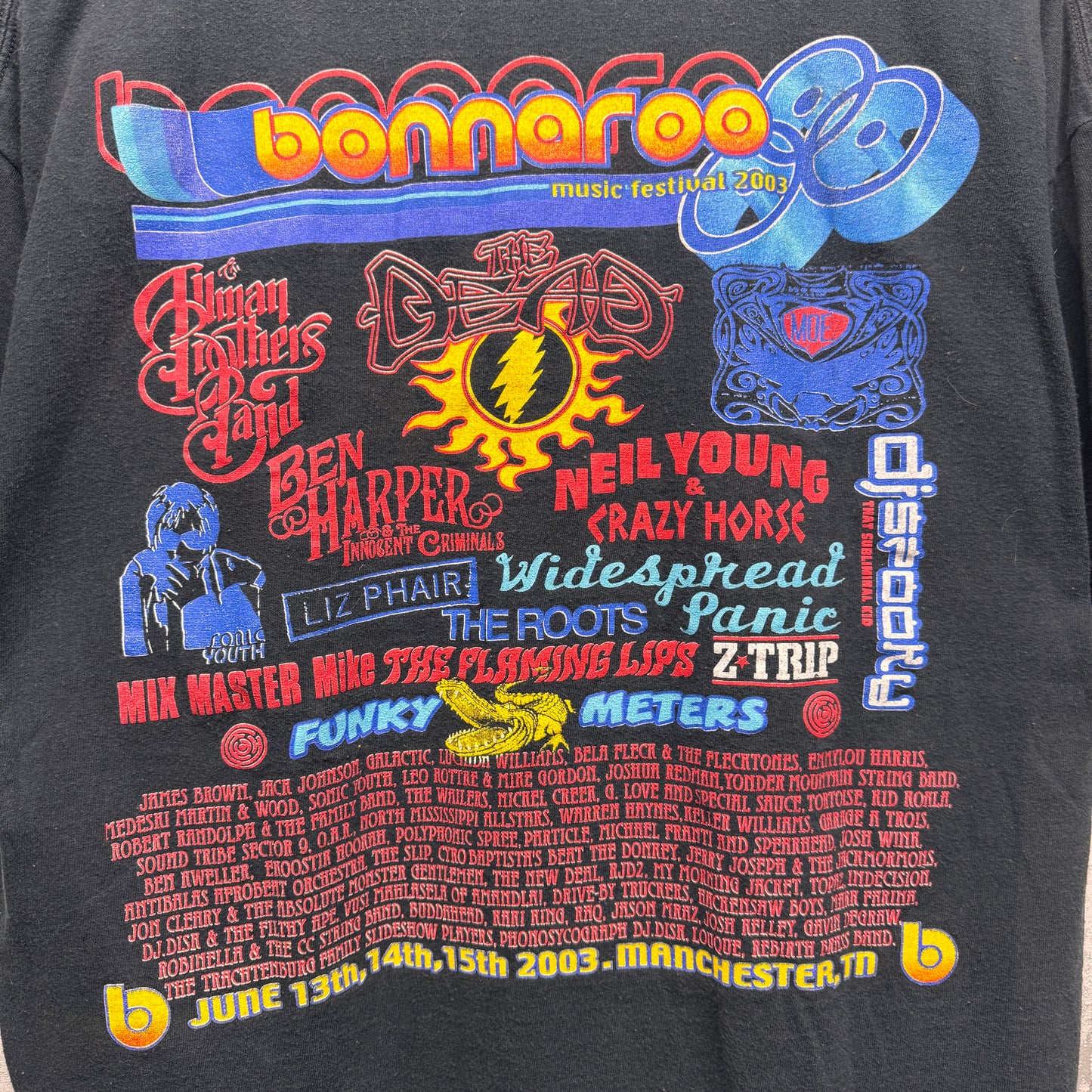 Vintage 2003 Bonnaroo Festival Shirt Large