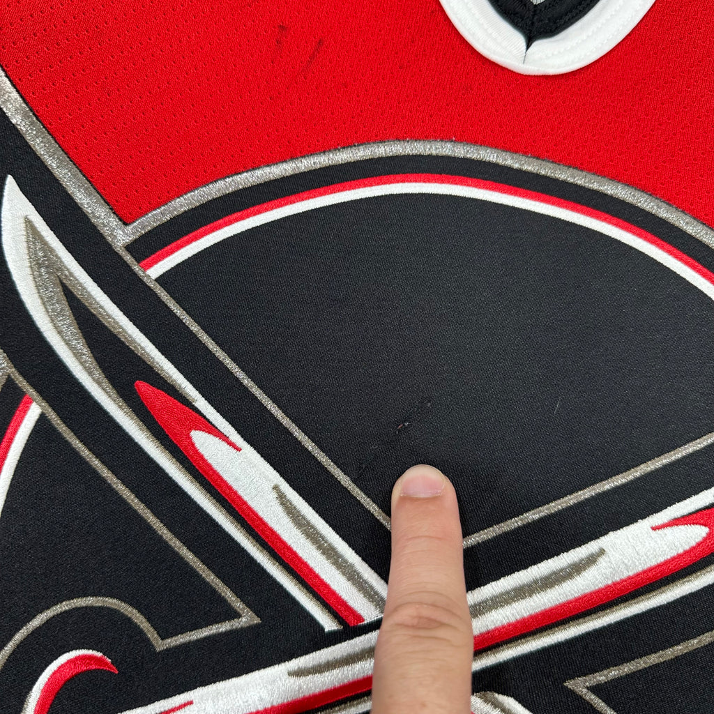Vintage Buffalo Sabres Jersey Large